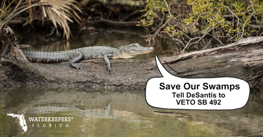 image of Save Our Swamps