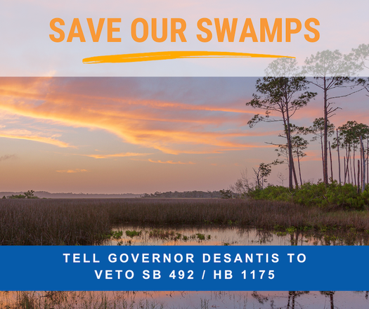 image of Save Our Swamps