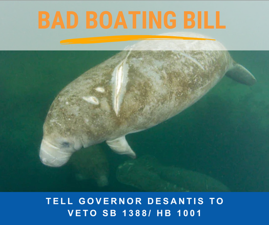 image of Bad Boating Bill